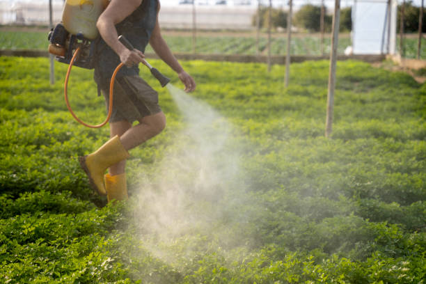 Best Best Pest Control Companies  in Grandview, WA