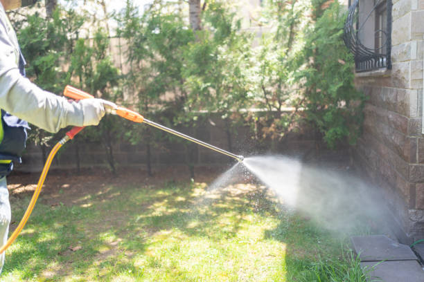 Best Bird Control  in Grandview, WA