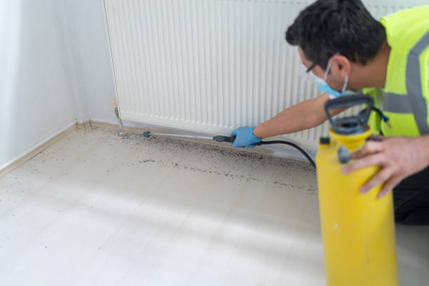 Best Wasp Removal Services  in Grandview, WA