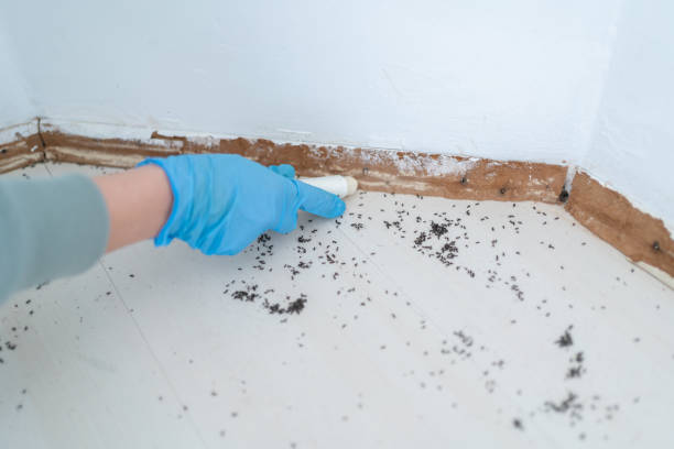 Best Pest Removal Services  in Grandview, WA